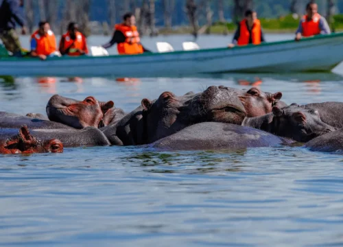 Naivasha Exclusive Getaway – 3 Days / 2 Nights
