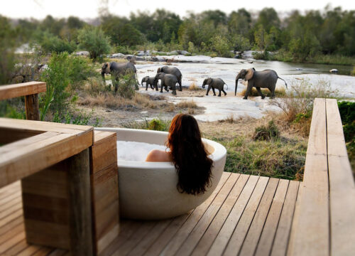 Exotic Views and safaris